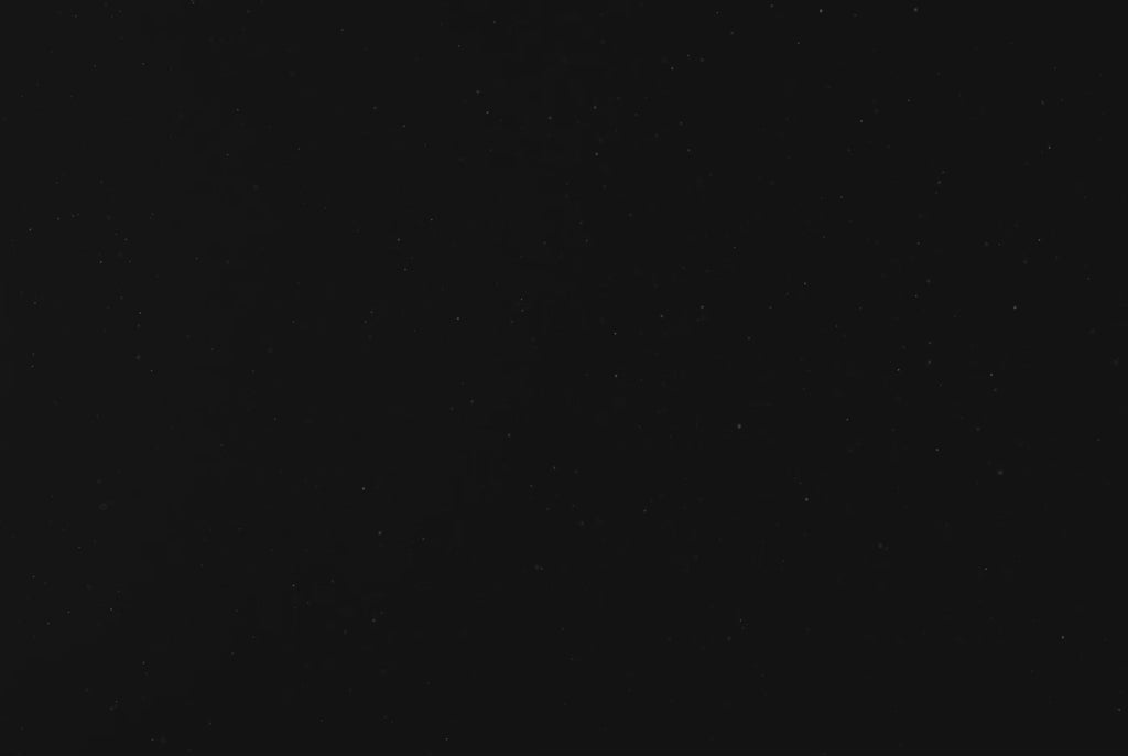 Guy Harvey Largemouth Bass Ring